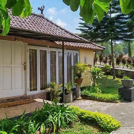 Tunjung Sari Villa Bedugul Redpartner المظهر الخارجي الصورة