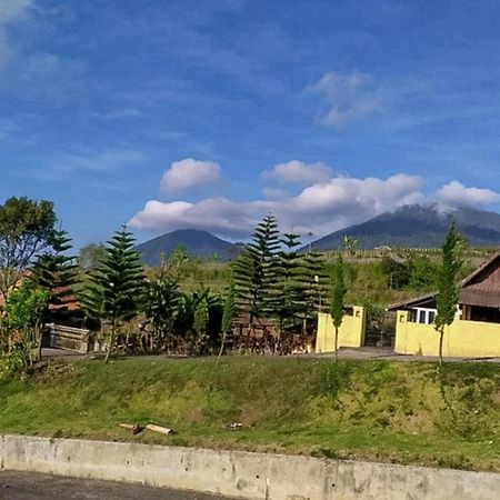 Tunjung Sari Villa Bedugul Redpartner المظهر الخارجي الصورة